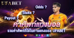 คำศัพท์แทงบอล ที่ควรรู้ก่อนแทงบอล
